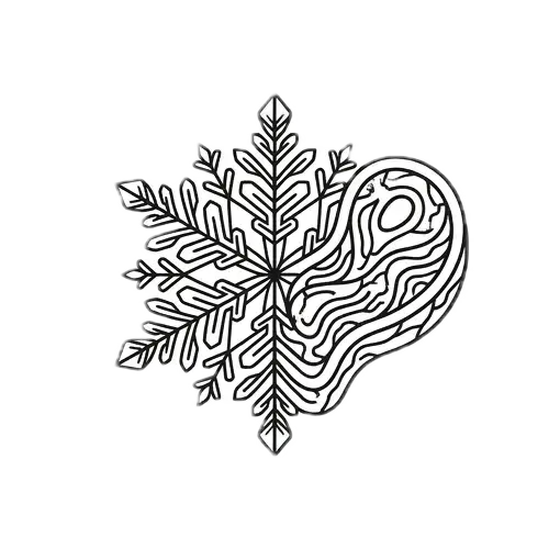 Ikona mrazom sušené